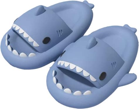 Amazon.es: Zapatillas Shark.